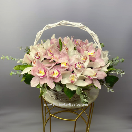 Basket of orchids "Bridal Veil"